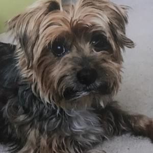 Meet your Posher, Magdalena